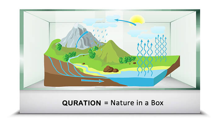 The QURATION Process in a Box